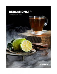 DARK SIDE Core BERGAMONSTR 30g, , buc
