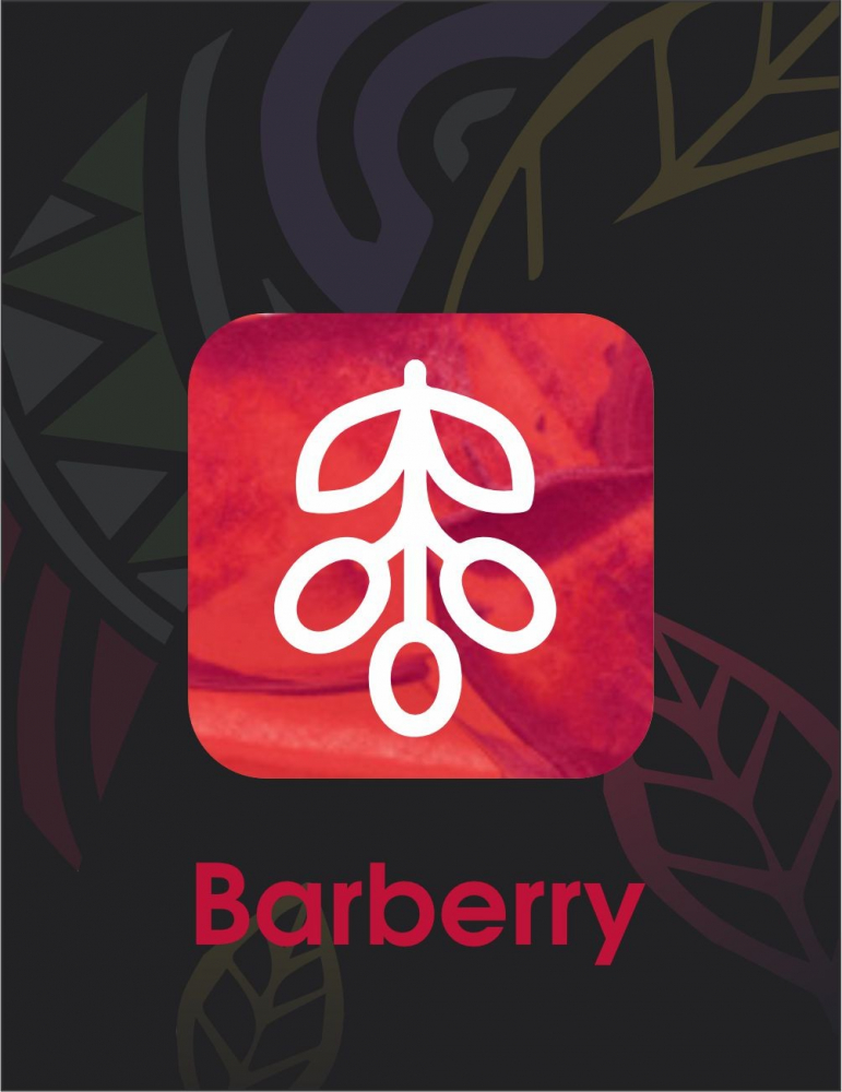 Sebero Black Barberry (Barmerry) 40 gr