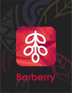 Sebero Black Barberry (Barmerry) 40 gr