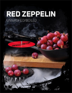 Tutun p-u narghilea  DARK SIDE Core RED ZEPPELIN 100 gr.