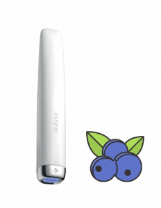 Flonq Plus E_600 Bluegerry