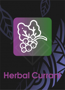 Sebero Black Herbal Currant (Hrbl Kurrant) 40 gr.