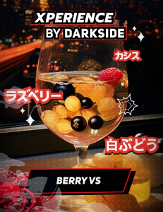 DARK SIDE Xperience (BRY VS) 30g, , buc