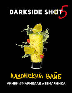 DARK SIDE SHOT (��������� ����) 30g, , buc