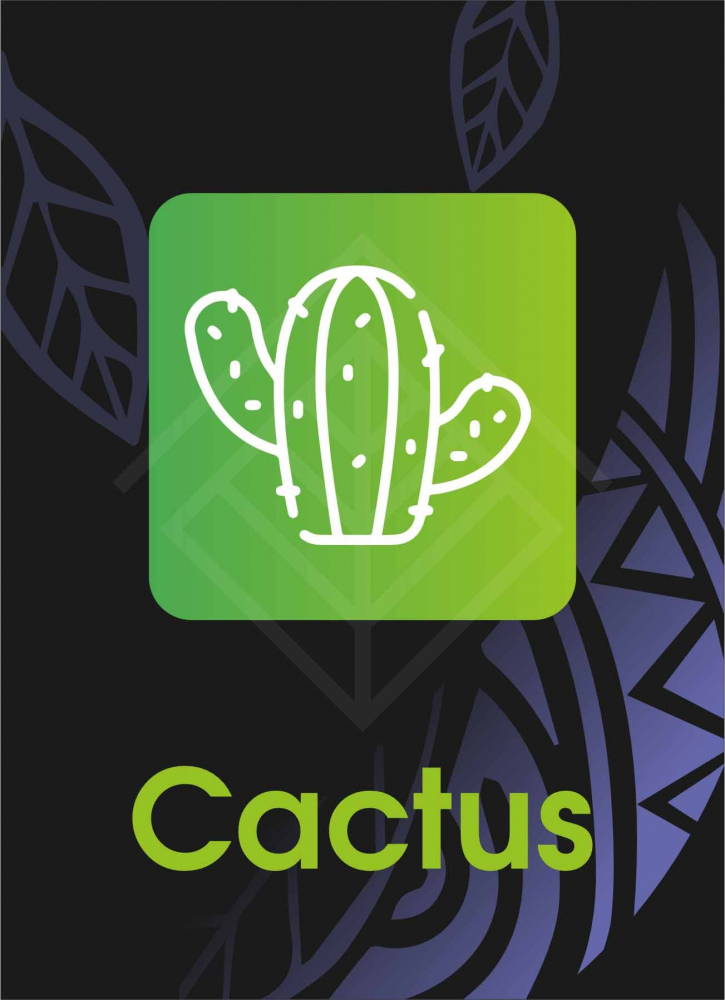 Sebero Black Cactus (Caktys) 40 gr.