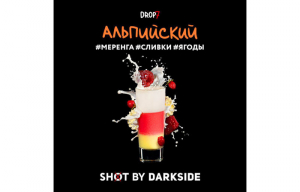 DARK SIDE SHOT (���������� ) 30g, , buc